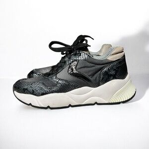 ๐ปNEW Voile Blanche SHEEL Reptile Effect Leather Sneaker Size 39 7.5 $265 Retail